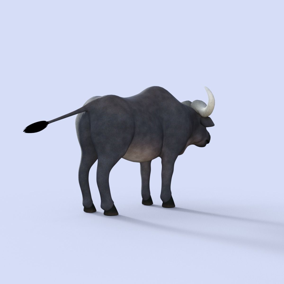 Cartoon Buffalo Rigged 3D model_6