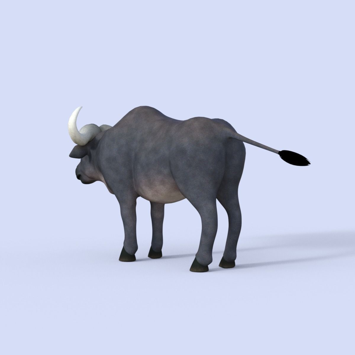 Cartoon Buffalo Rigged 3D model_4
