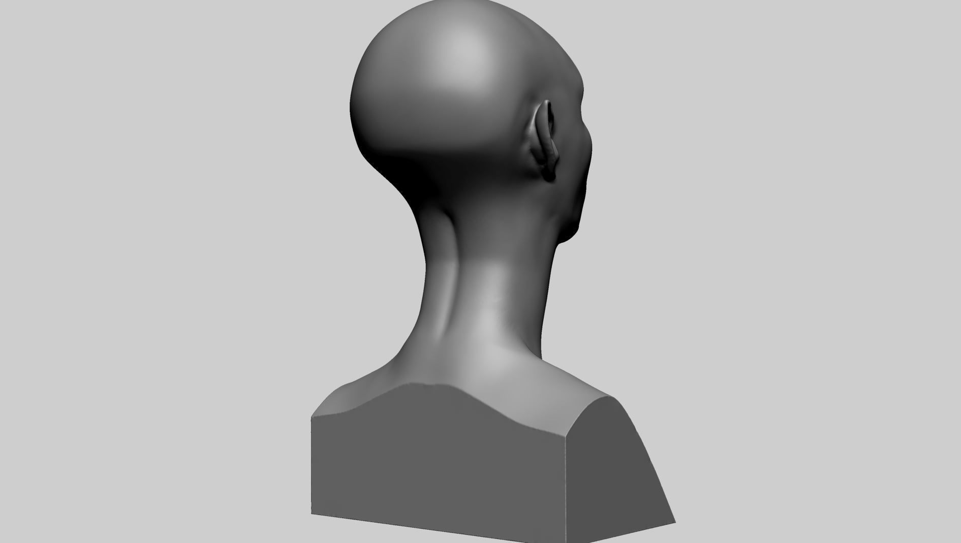 Female Head Form B 3D model_2