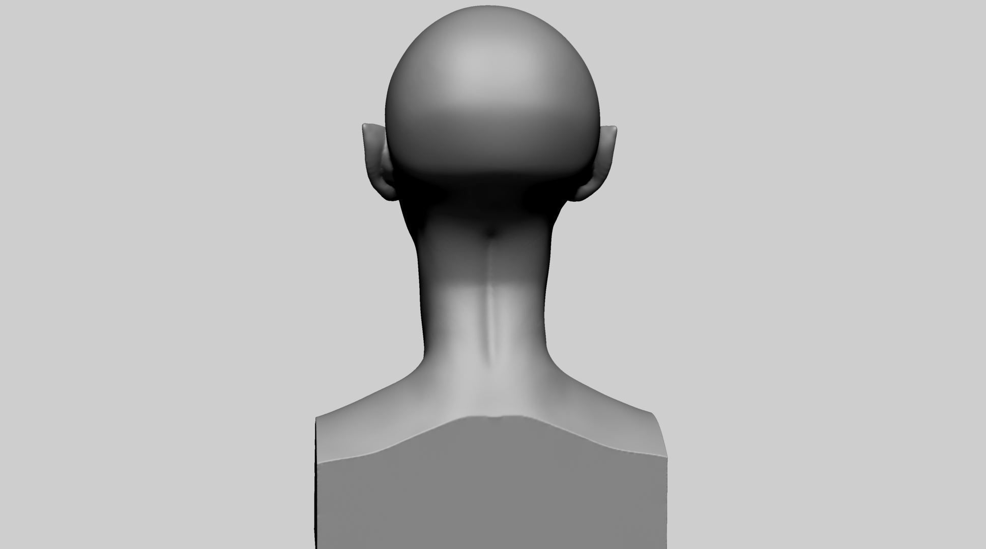 Female Head Form B 3D model_3