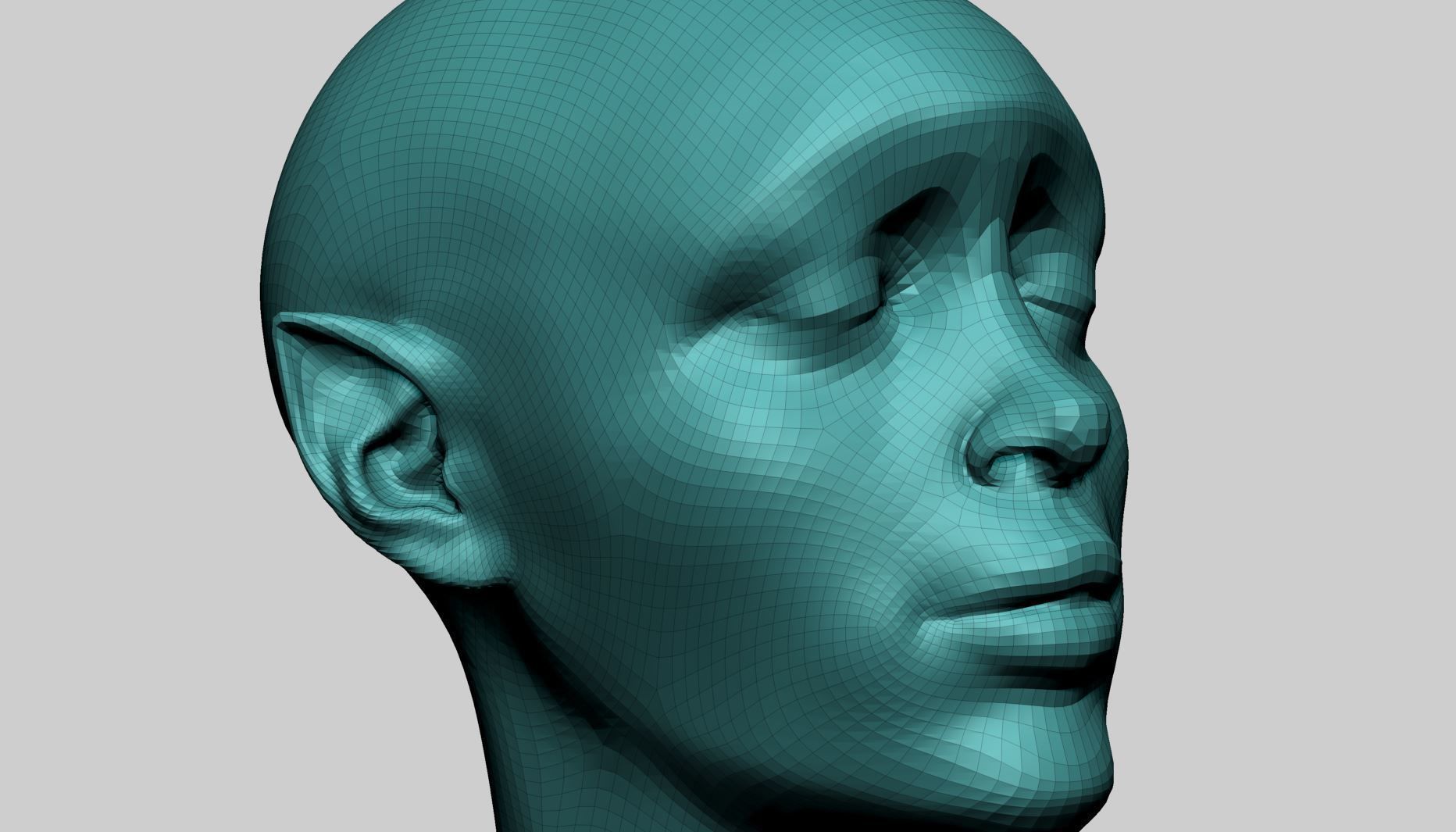 Female Head Form B 3D model_11