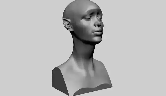 Female Head Form B 3D model