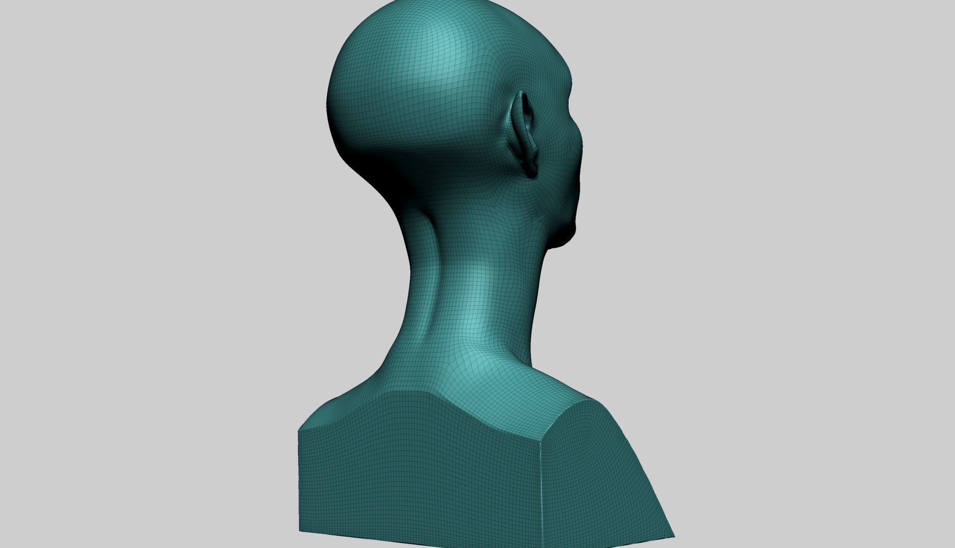 Female Head Form B 3D model_12