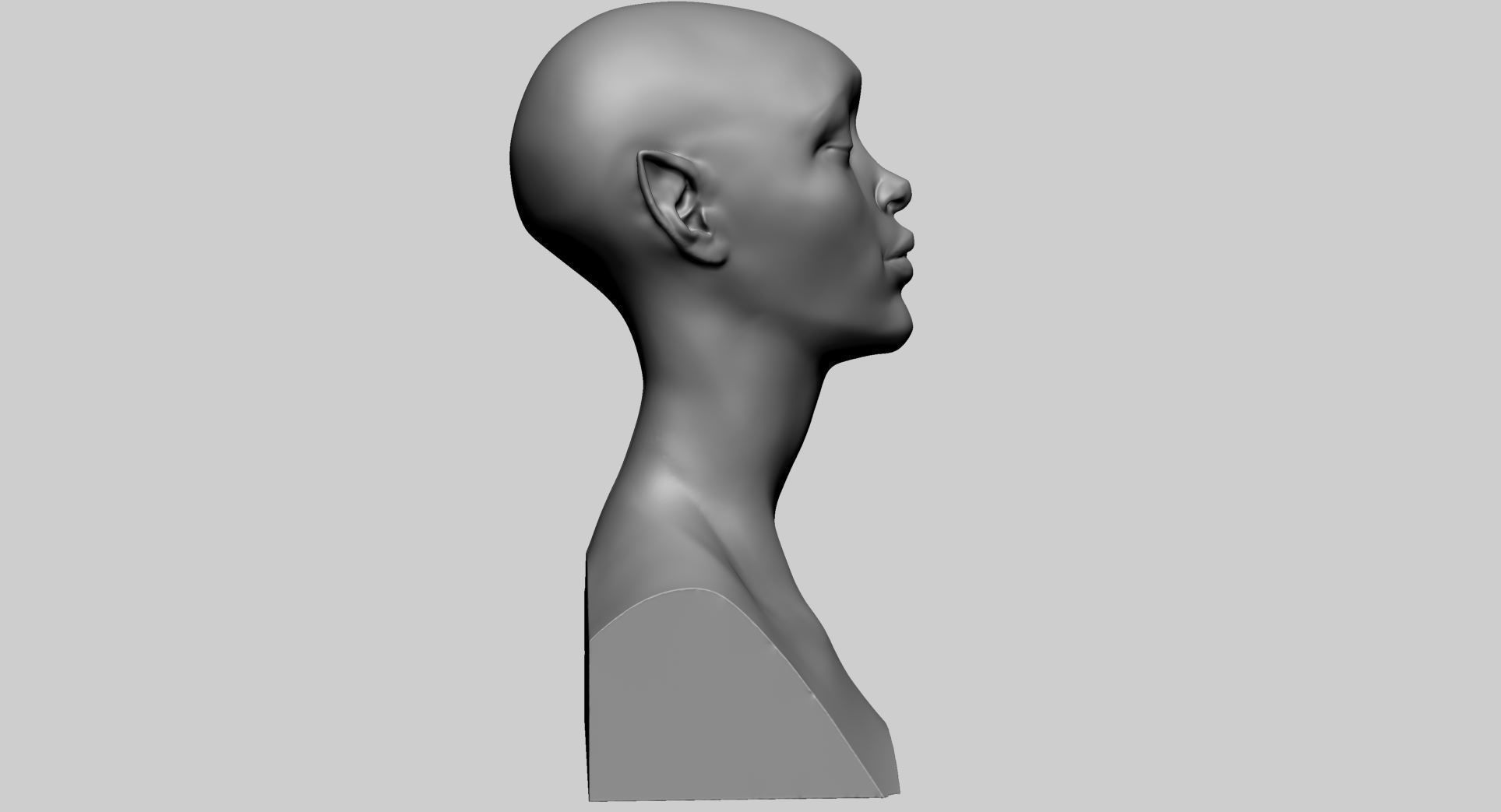 Female Head Form B 3D model_1