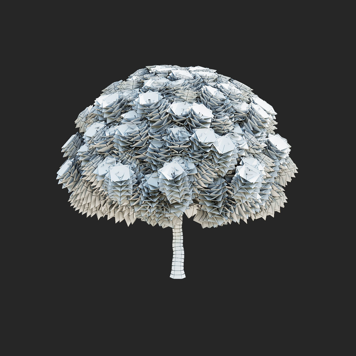 Pinus mugo 2 3D model_8