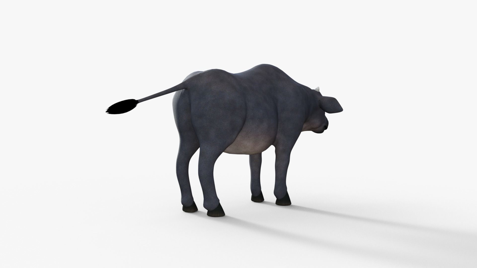 Cartoon Cow Rigged 3D model_14