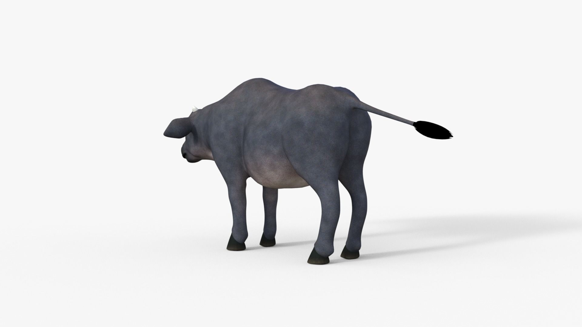 Cartoon Cow Rigged 3D model_12