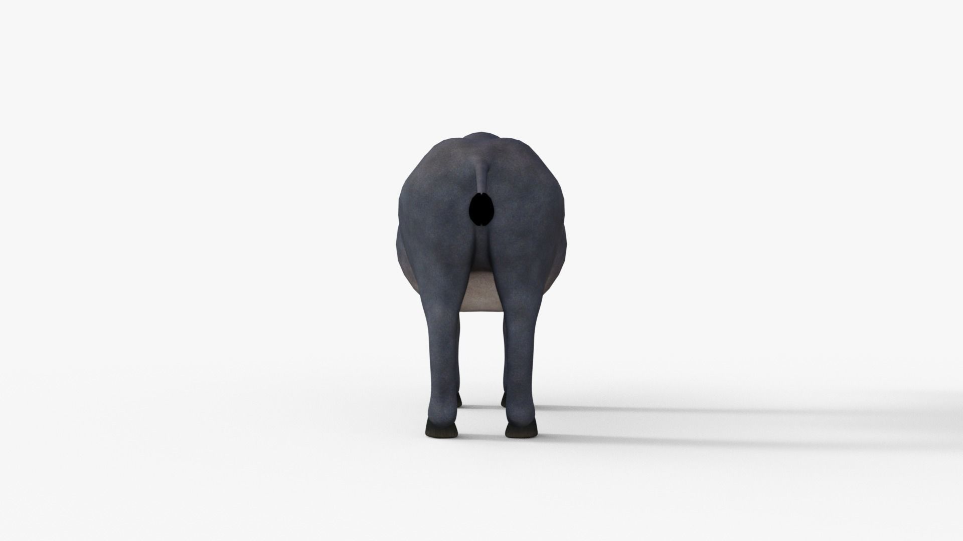 Cartoon Cow Rigged 3D model_13