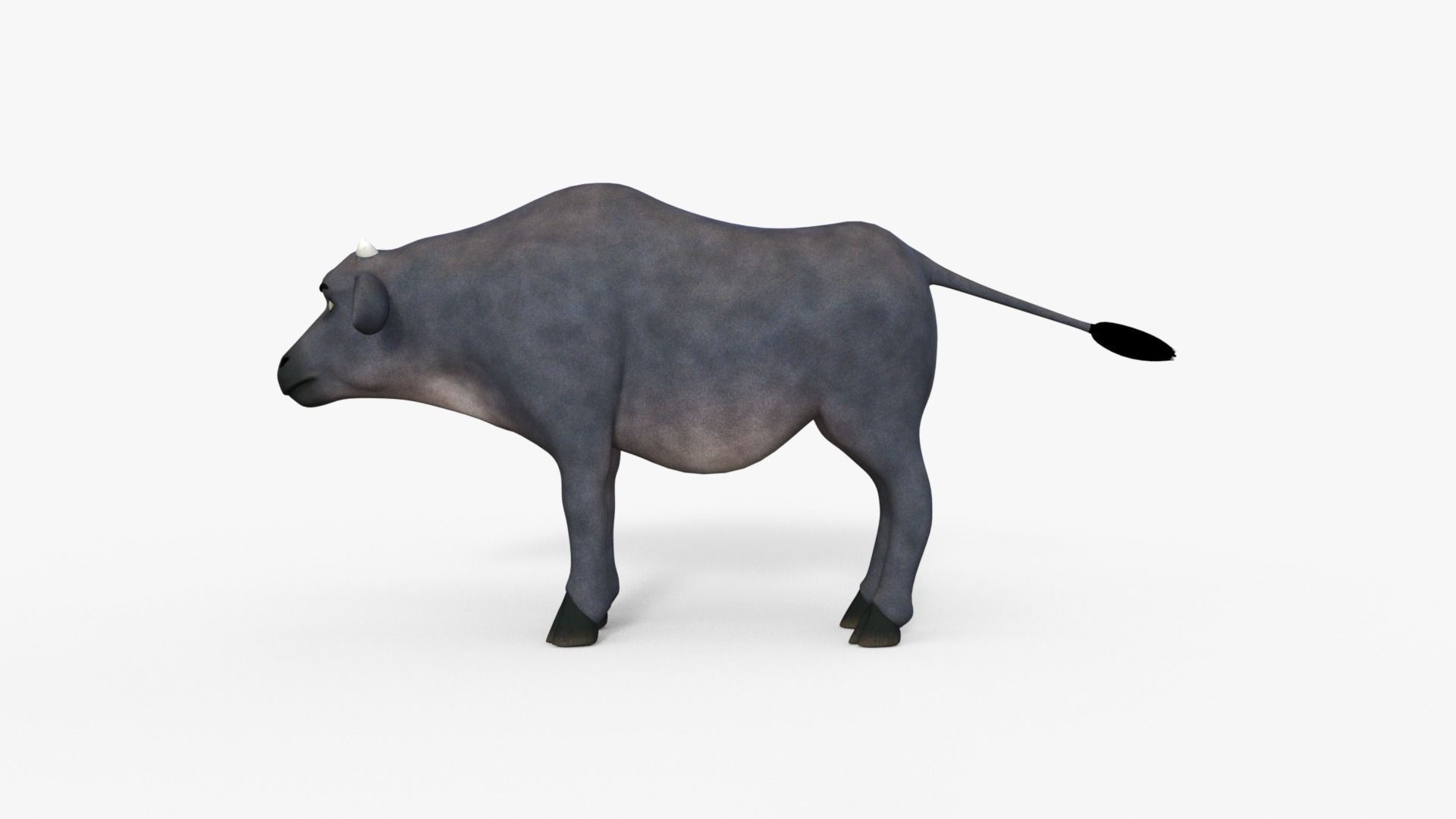 Cartoon Cow Rigged 3D model_11