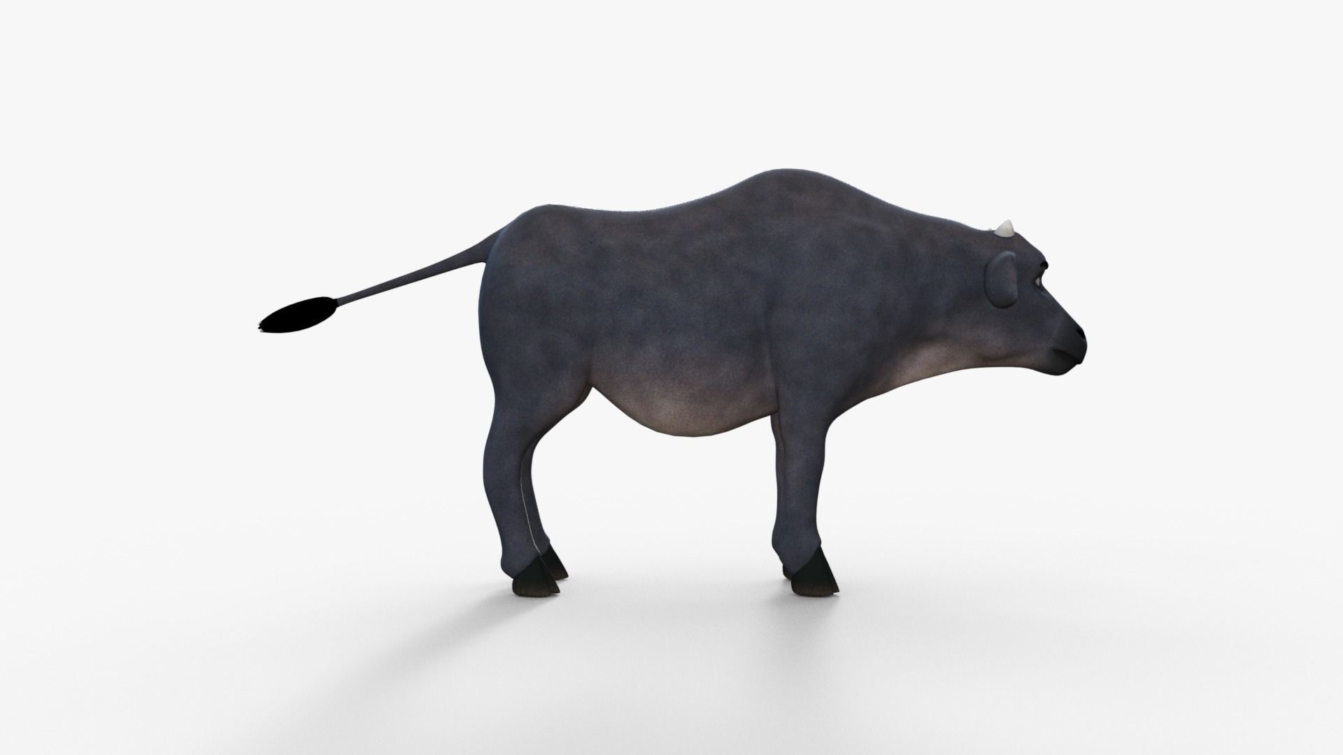 Cartoon Cow Rigged 3D model_15