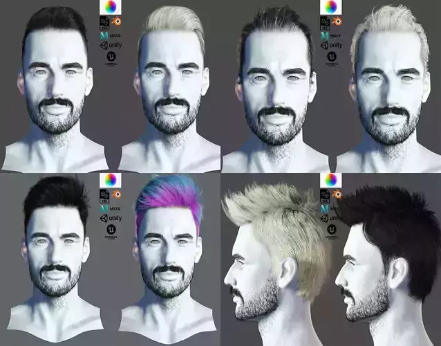 hair for male pack 3D Model Collection