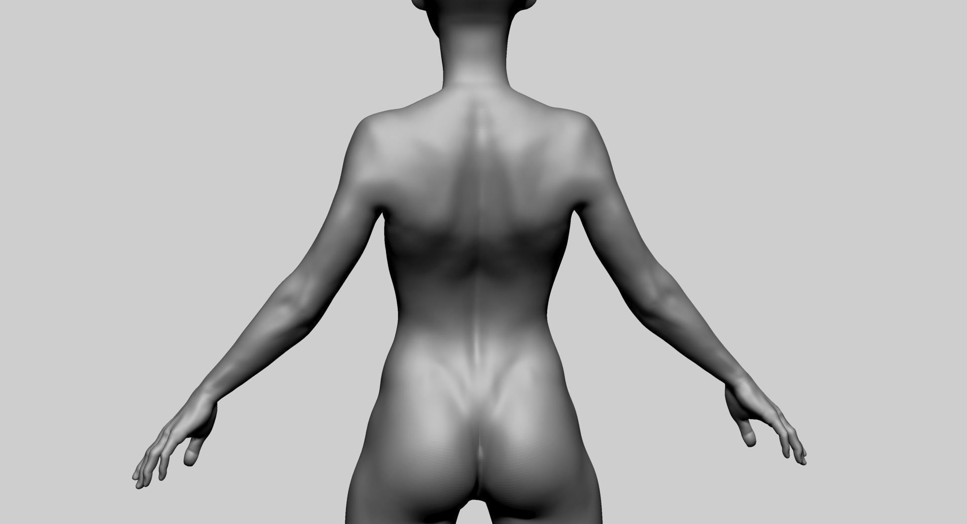 Female Anatomy Basemesh 3D model_13