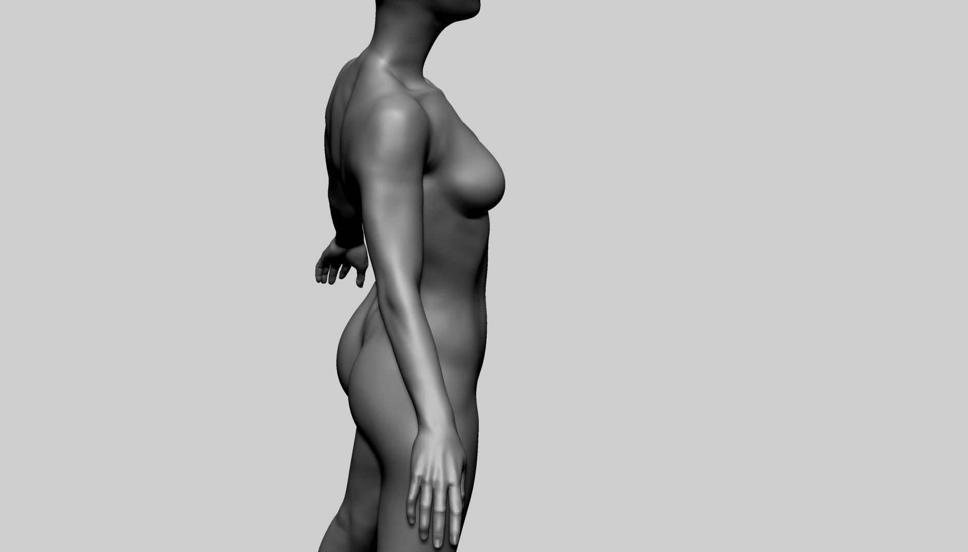 Female Anatomy Basemesh 3D model_12