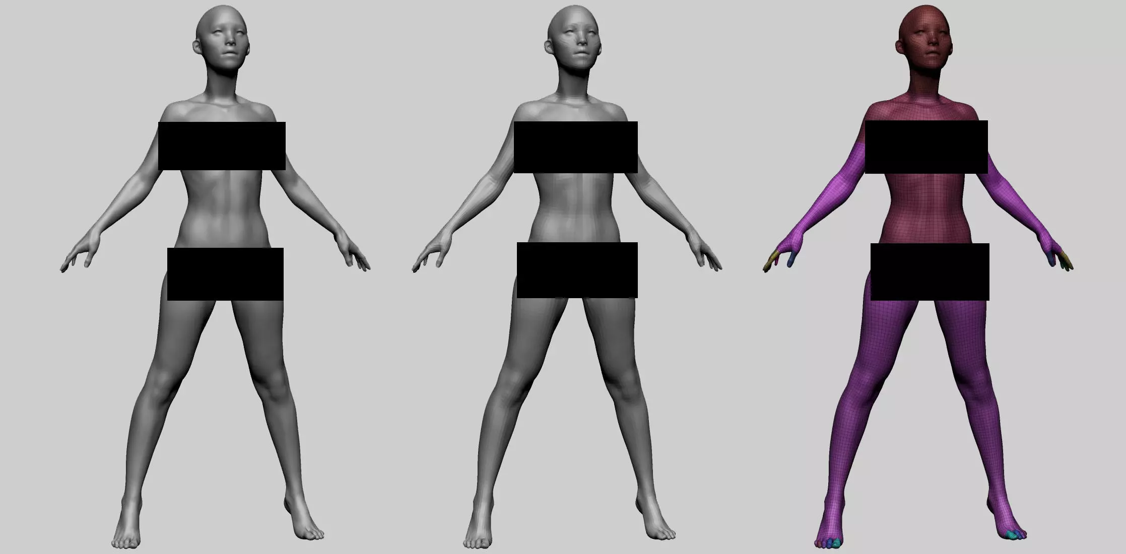 Female Anatomy Basemesh 3D model_0
