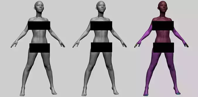 Female Anatomy Basemesh 3D model