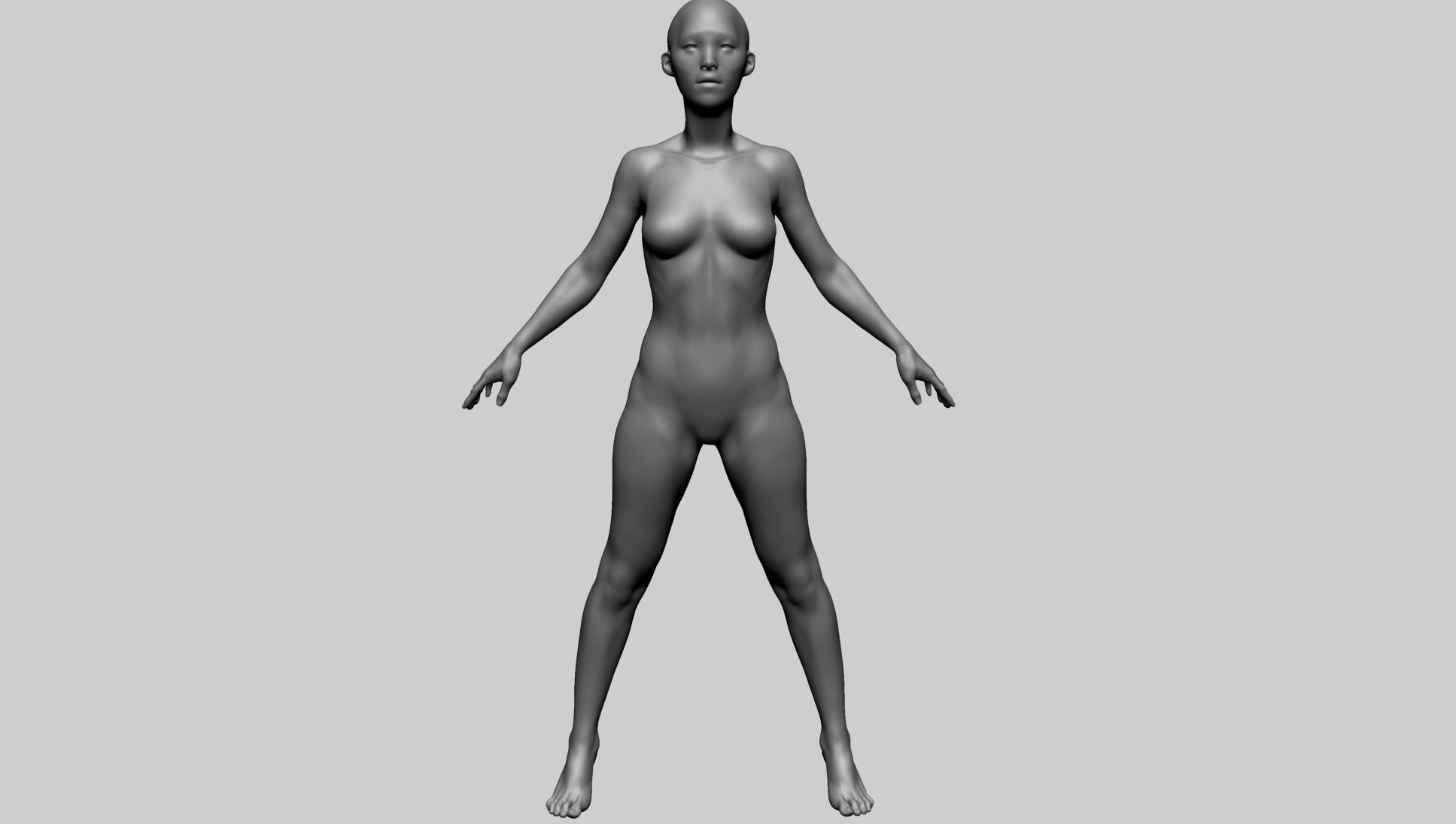 Female Anatomy Basemesh 3D model_9