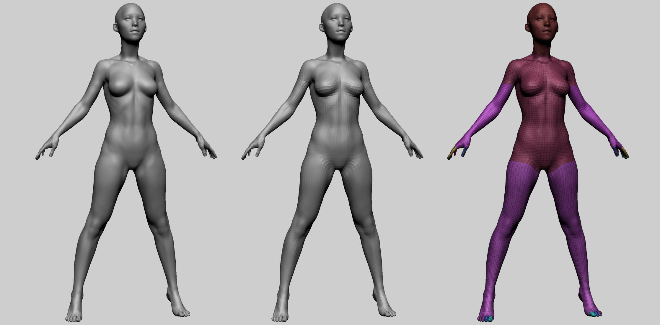 Female Anatomy Basemesh 3D model_1