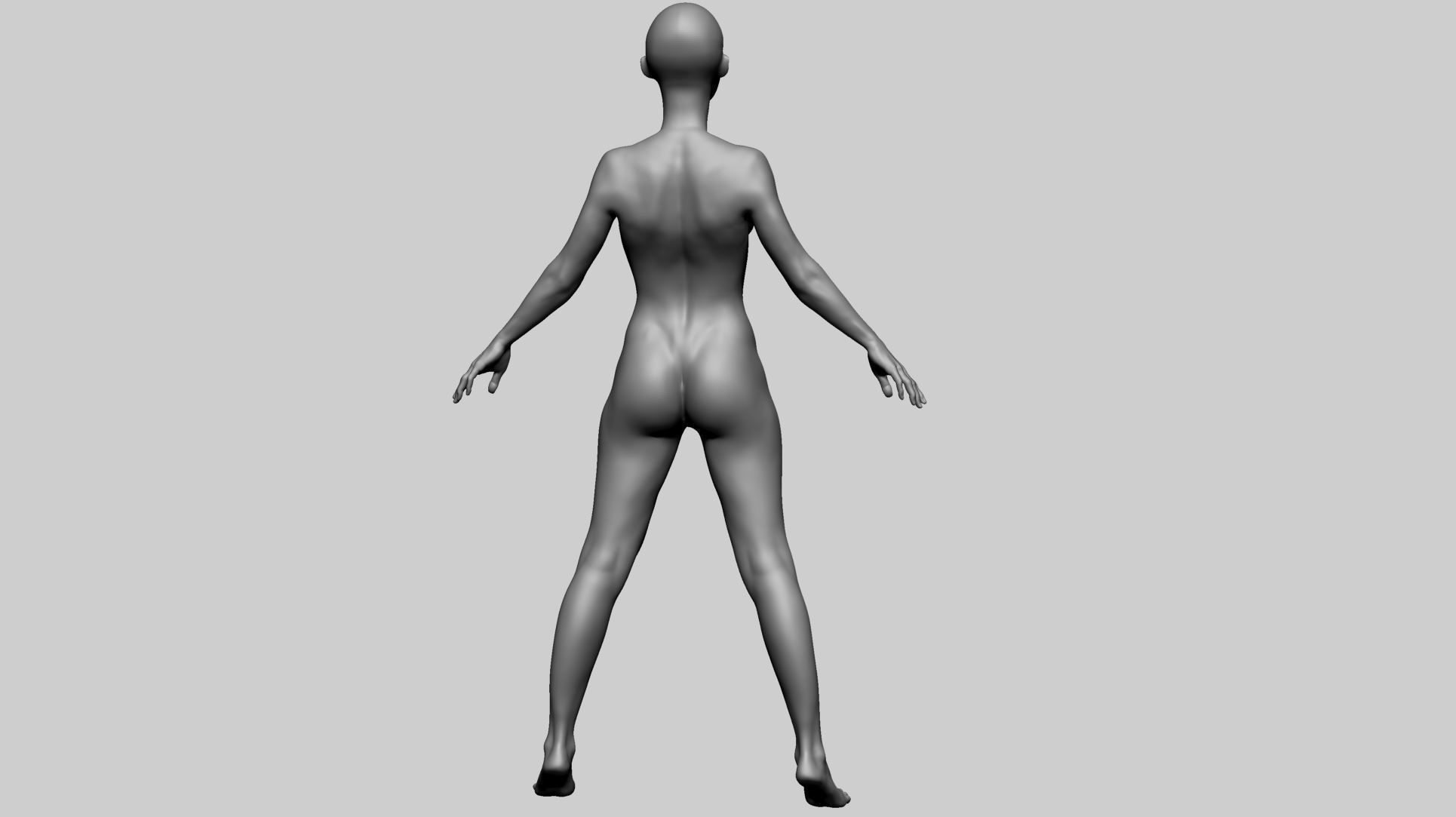 Female Anatomy Basemesh 3D model_6