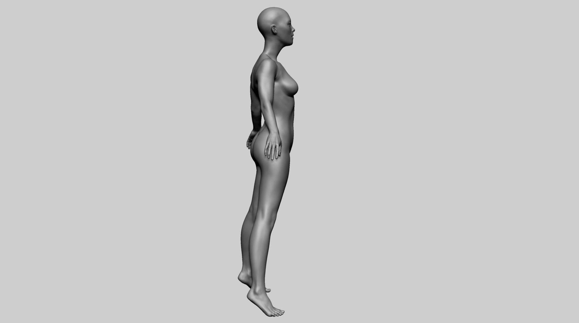 Female Anatomy Basemesh 3D model_5