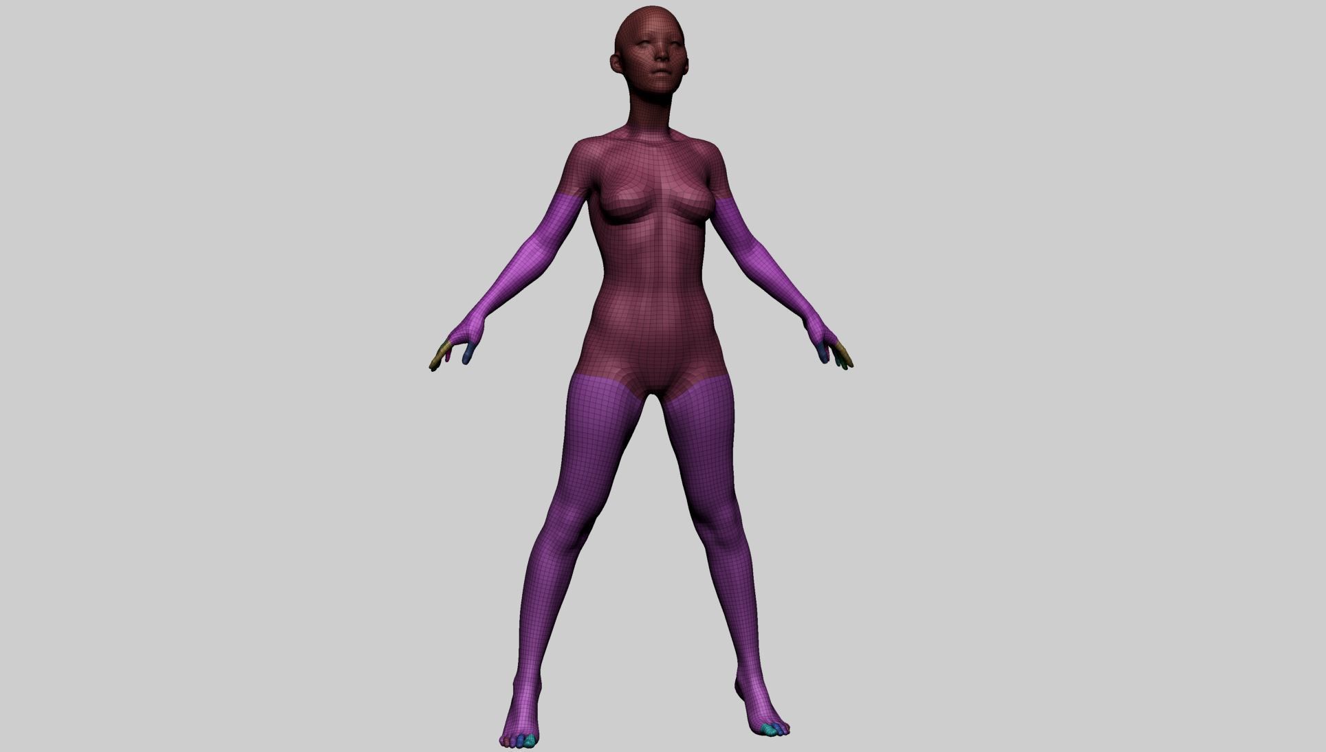 Female Anatomy Basemesh 3D model_4