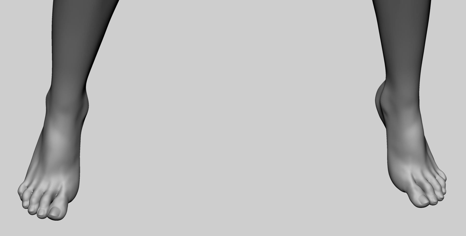 Female Anatomy Basemesh 3D model_18