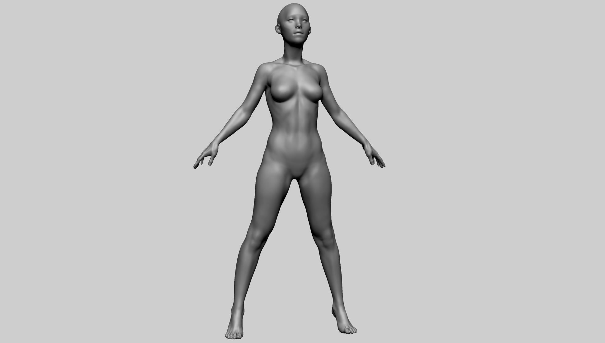 Female Anatomy Basemesh 3D model_2