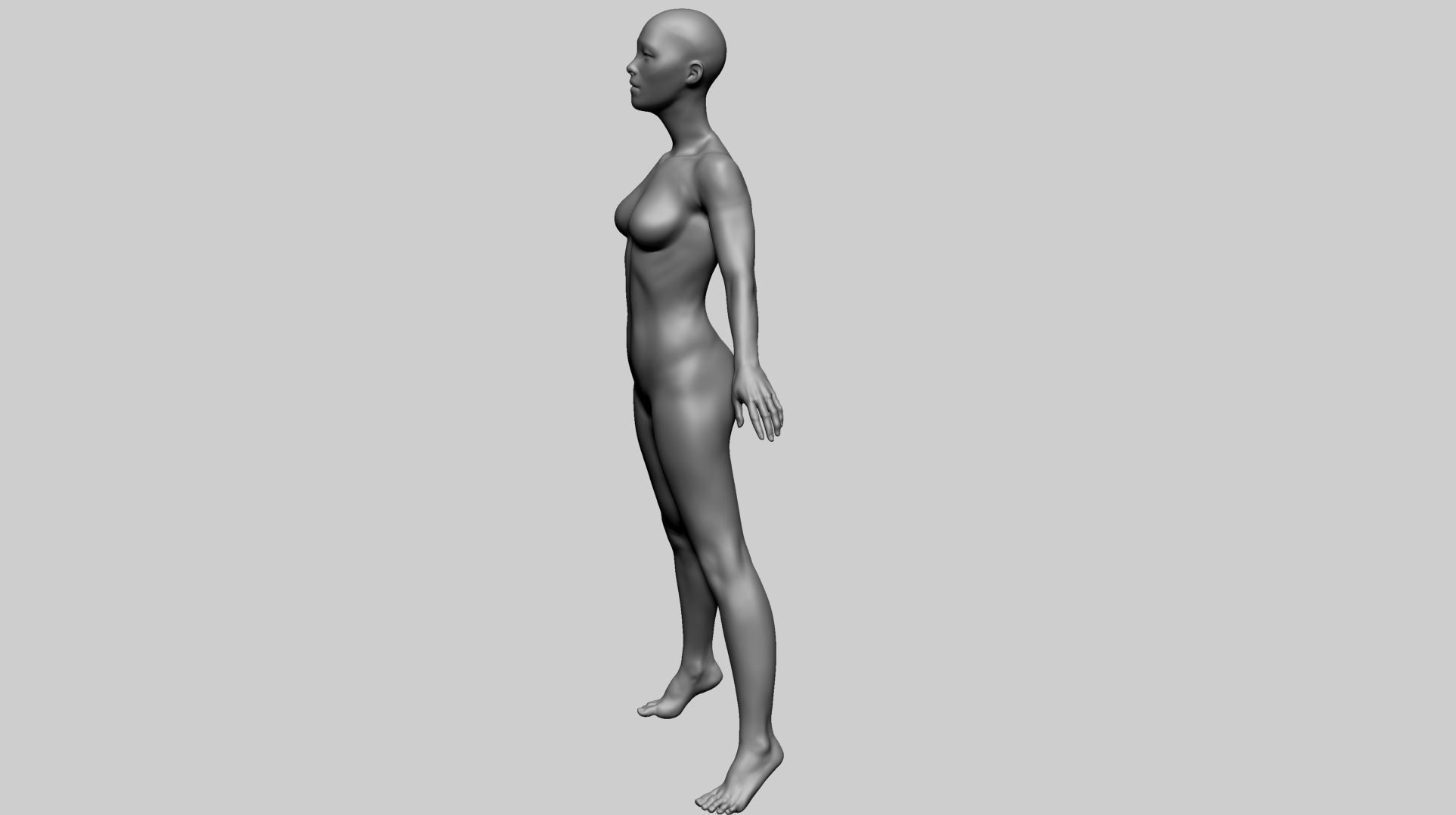 Female Anatomy Basemesh 3D model_8