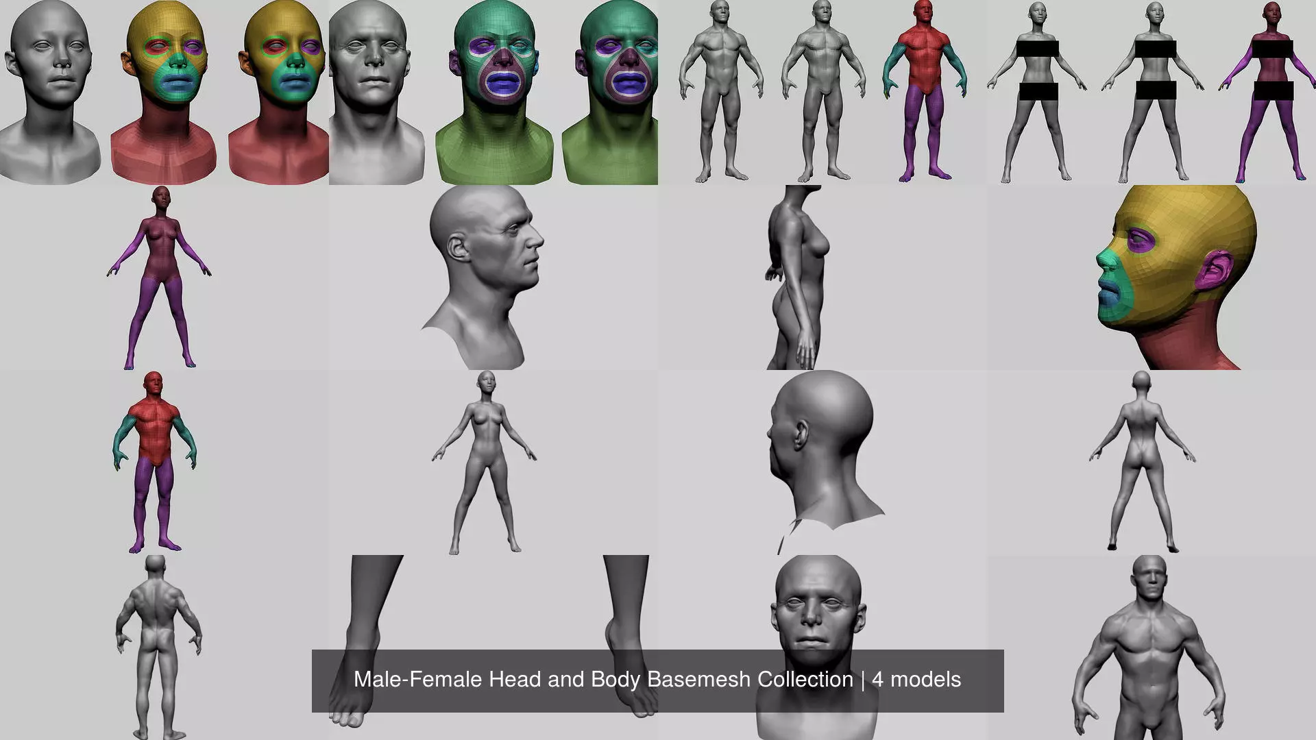 Male-Female Head and Body Basemesh Collection _0