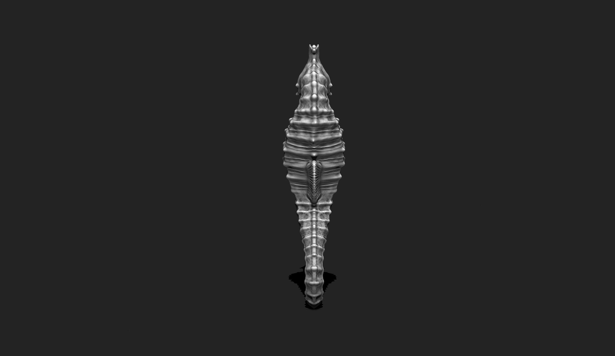 Seahorse - 3D Print - Aquarium 3D print model_6