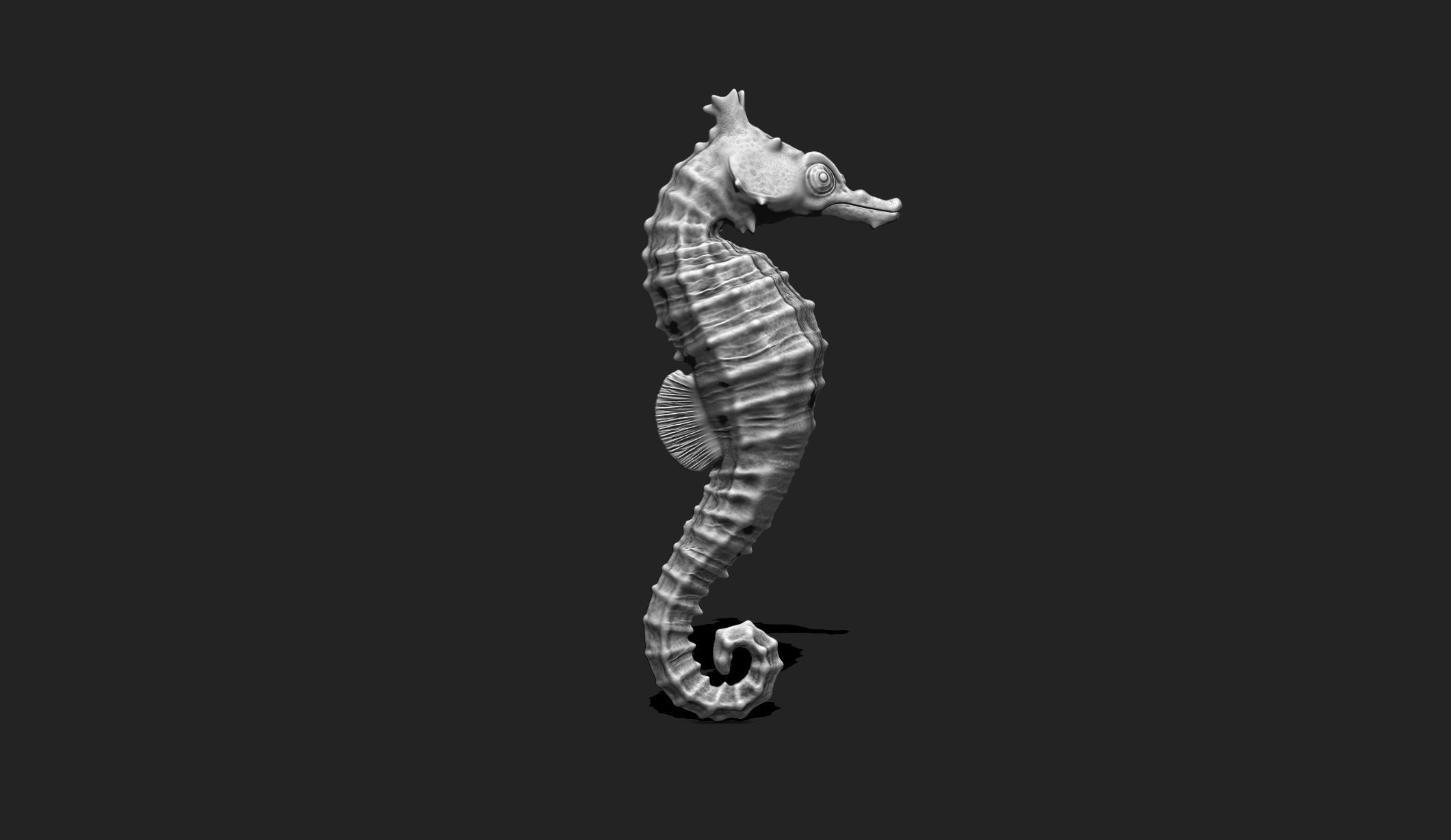 Seahorse - 3D Print - Aquarium 3D print model_1