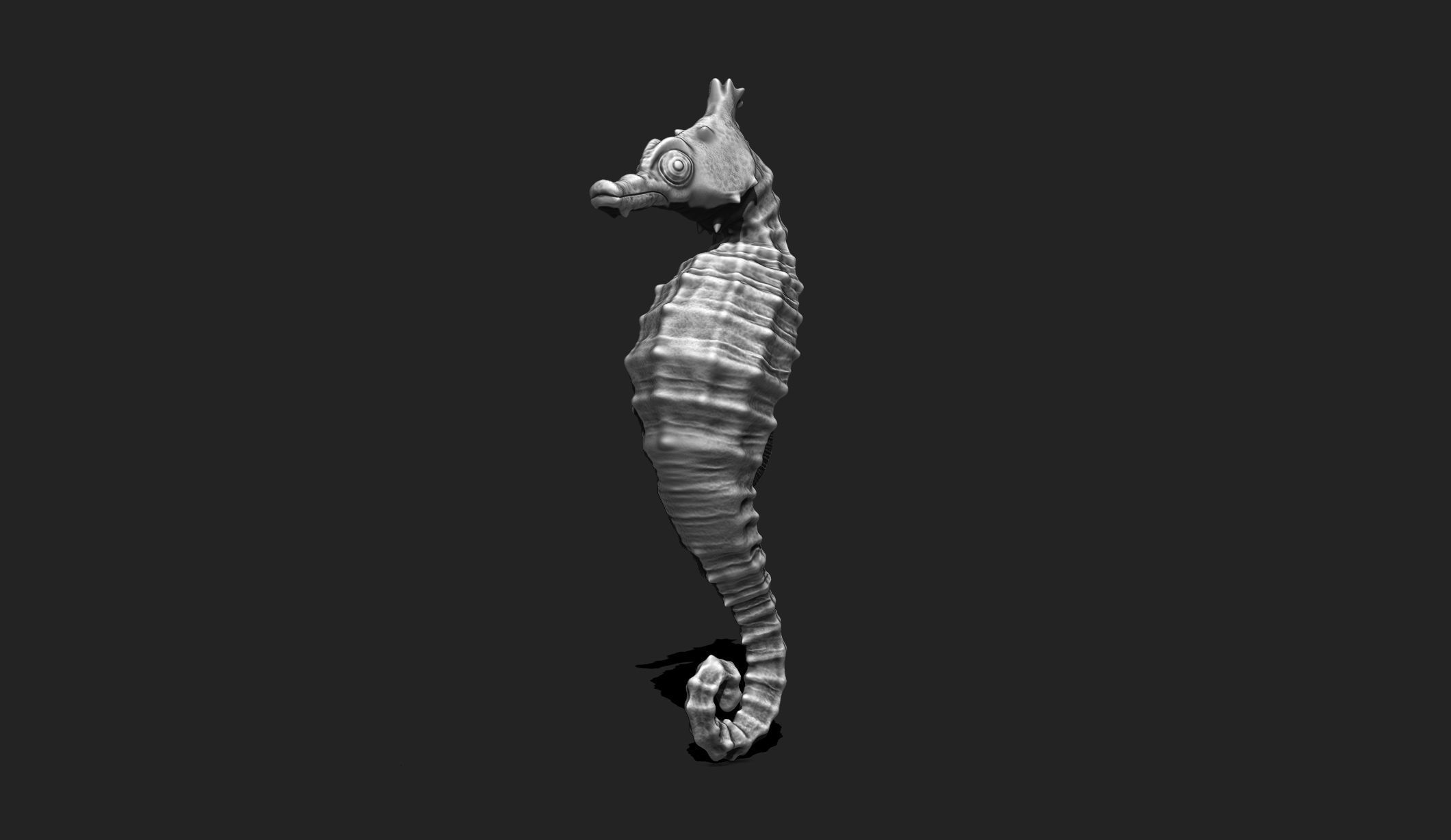 Seahorse - 3D Print - Aquarium 3D print model_4
