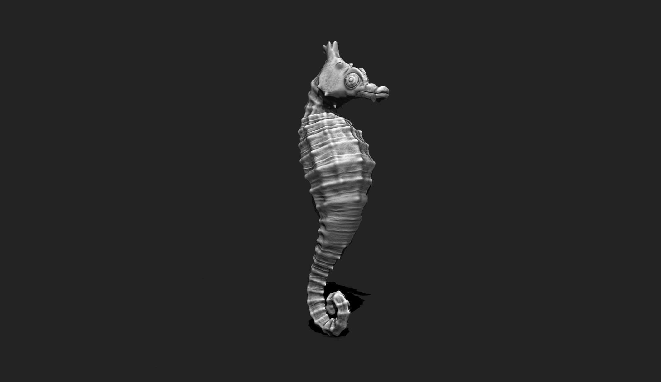Seahorse - 3D Print - Aquarium 3D print model_2