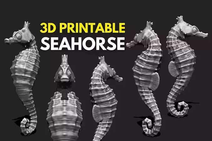 Seahorse - 3D Print - Aquarium 3D print model