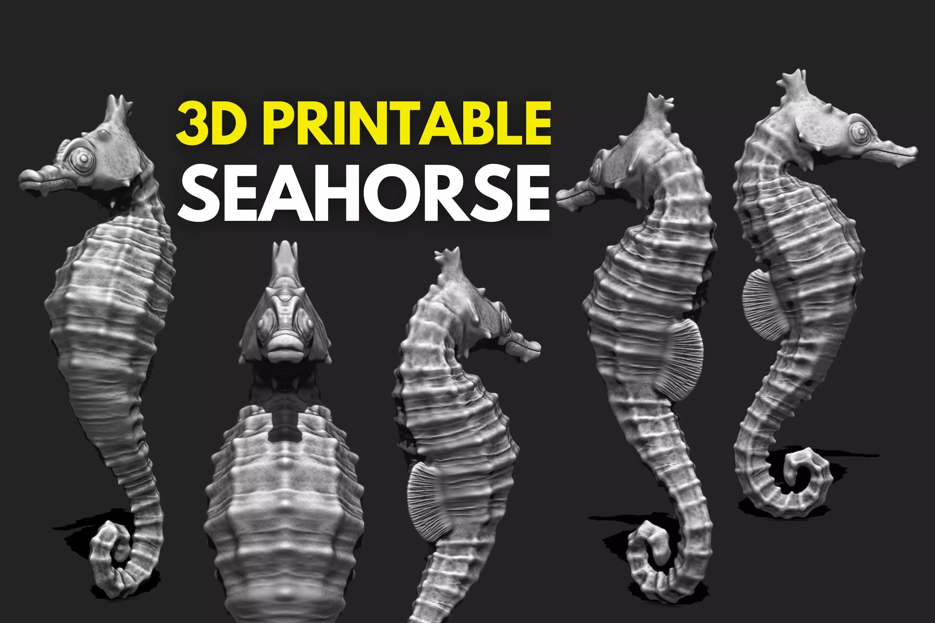 Seahorse - 3D Print - Aquarium 3D print model_0