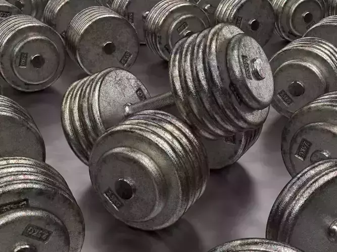 A set of 20 rusty dumbbells from 5 to 100 kg 