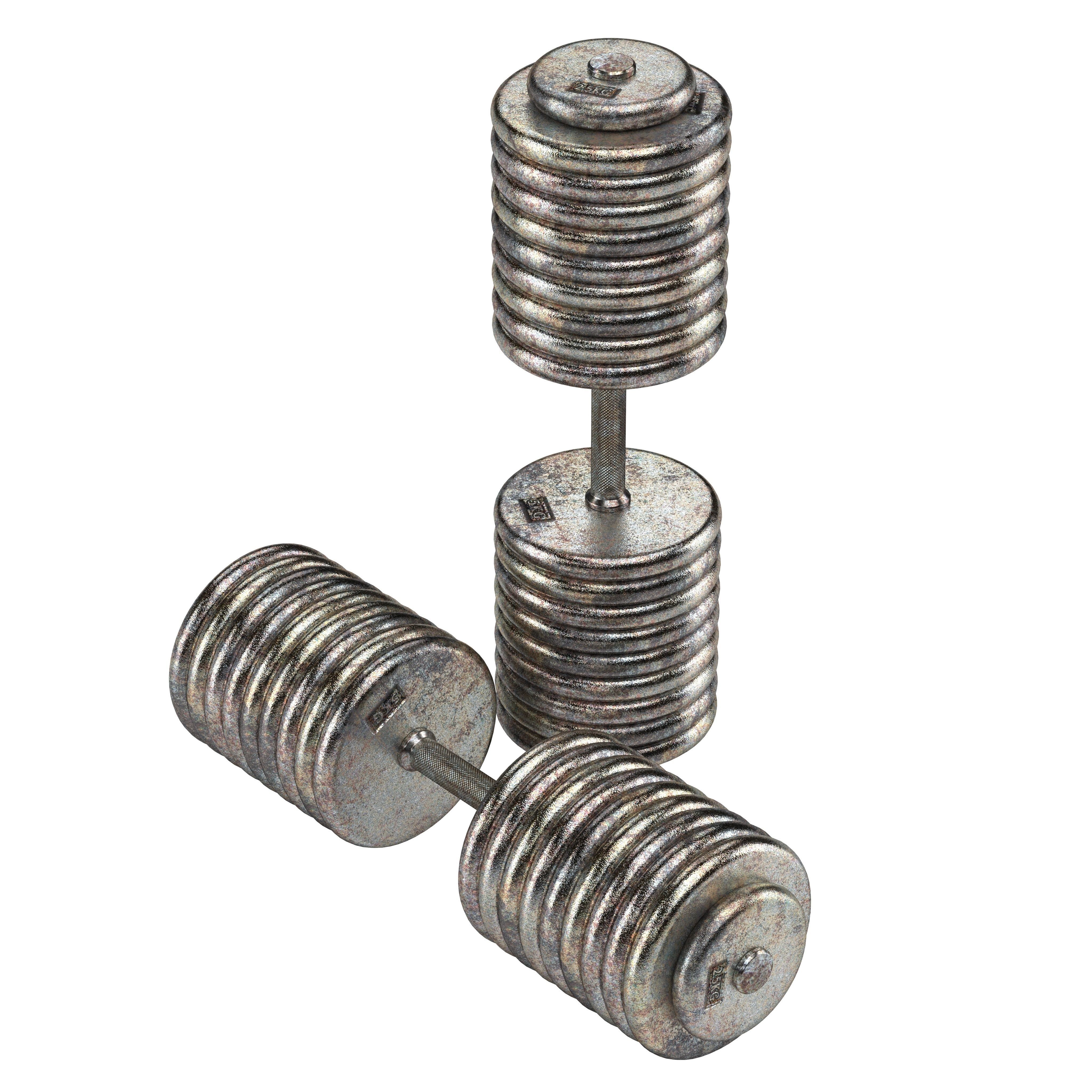 A set of 20 rusty dumbbells from 5 to 100 kg  3D model_6