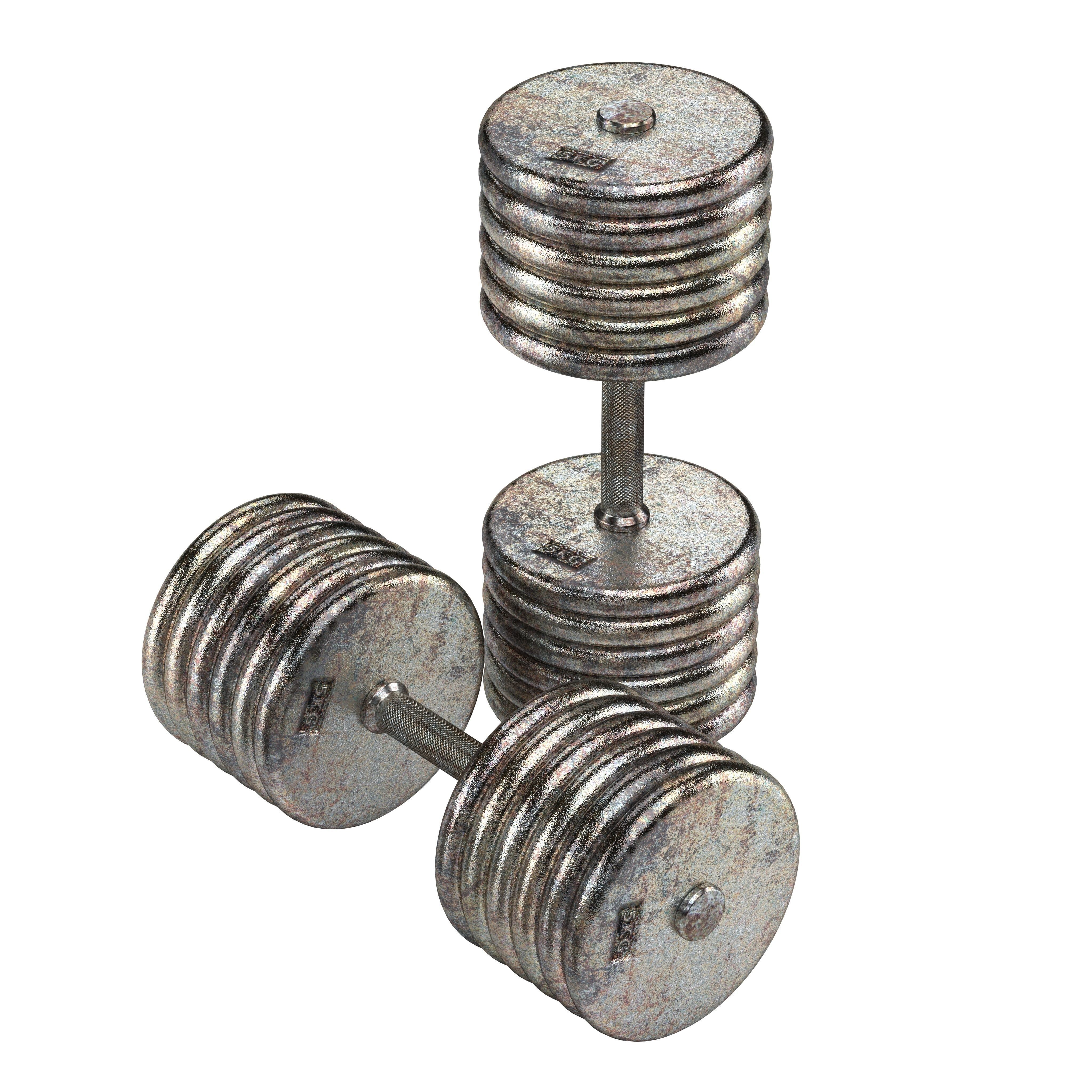 A set of 20 rusty dumbbells from 5 to 100 kg  3D model_5