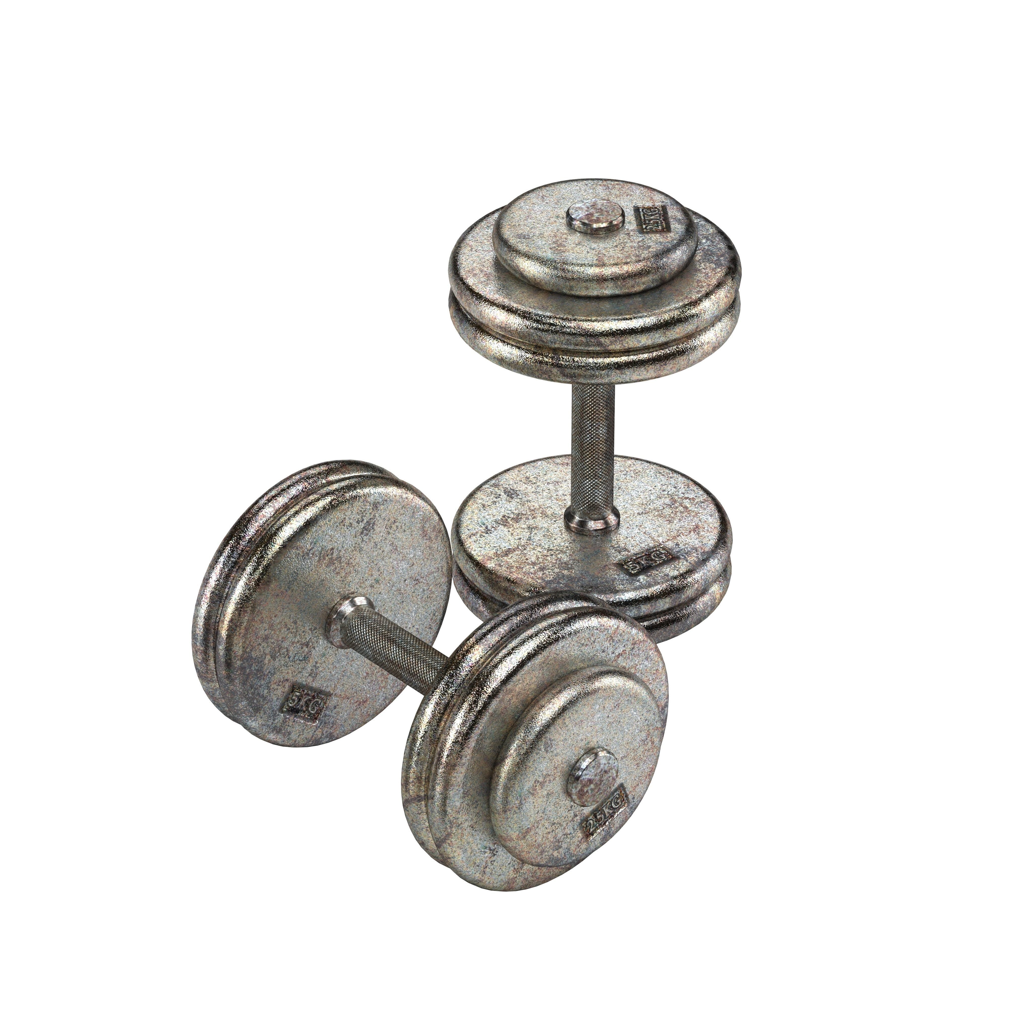A set of 20 rusty dumbbells from 5 to 100 kg  3D model_2