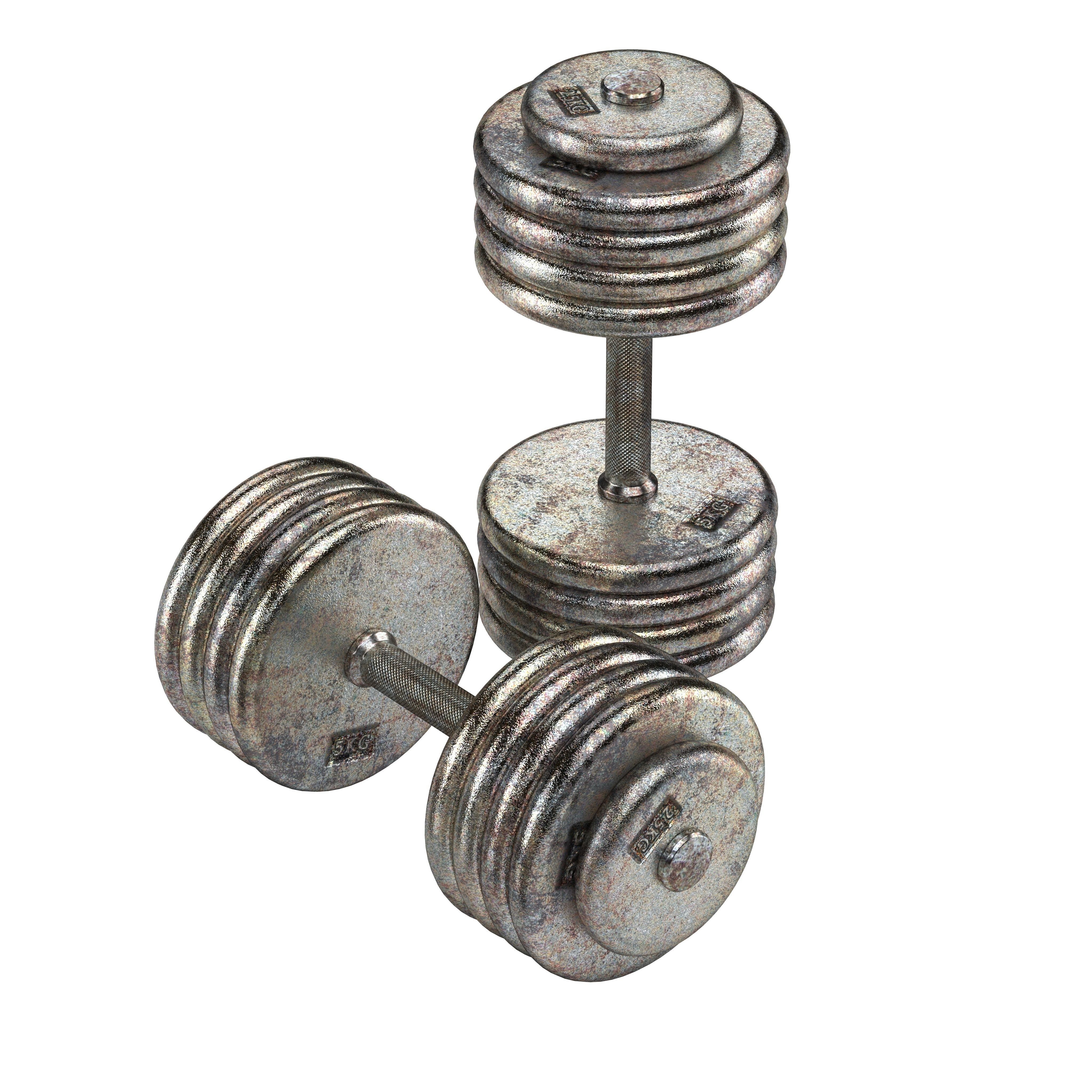 A set of 20 rusty dumbbells from 5 to 100 kg  3D model_1