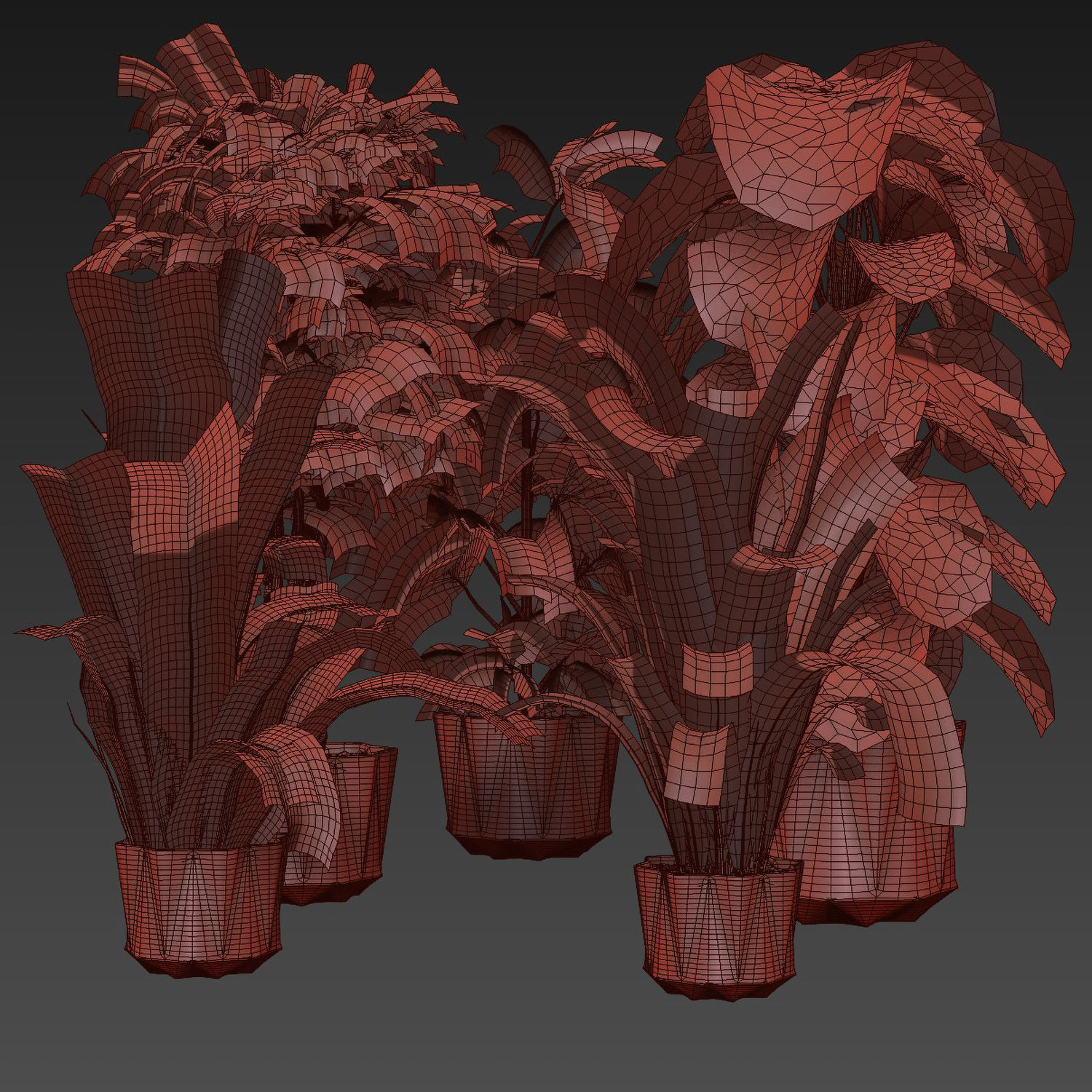 Collection plant vol 441 - fiddle - banana - rubber - monstera 3D model_5