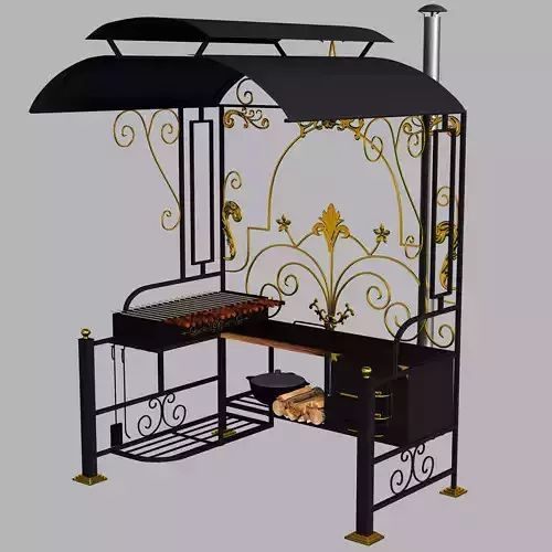 Barbecue outdoor grill with canopy