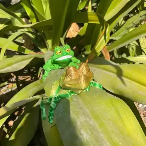 PRINT-IN-PLACE FLEXI TOAD ARTICULATED