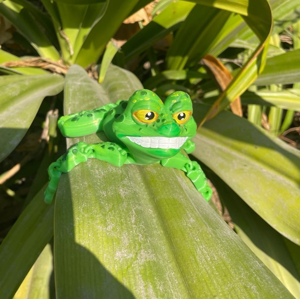 PRINT-IN-PLACE FLEXI TOAD ARTICULATED 3D print model_1