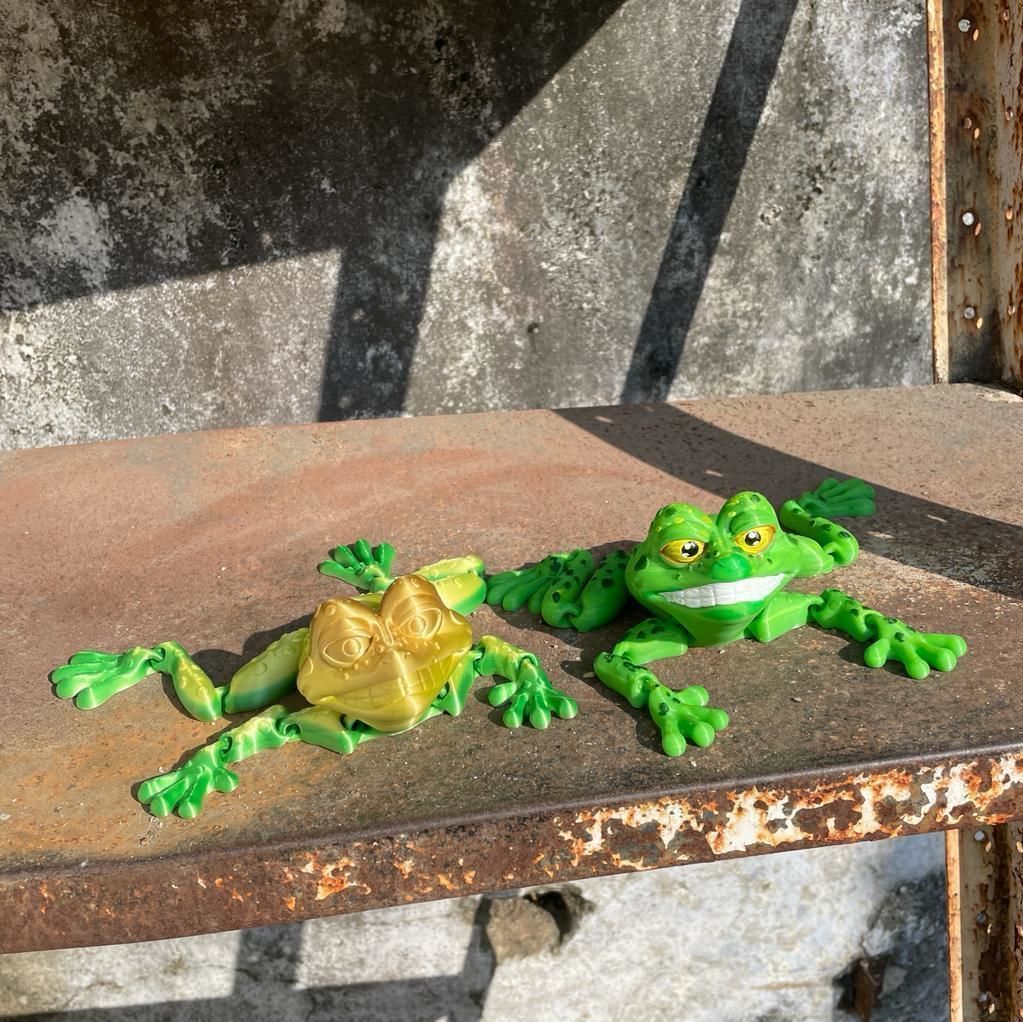 PRINT-IN-PLACE FLEXI TOAD ARTICULATED 3D print model_3