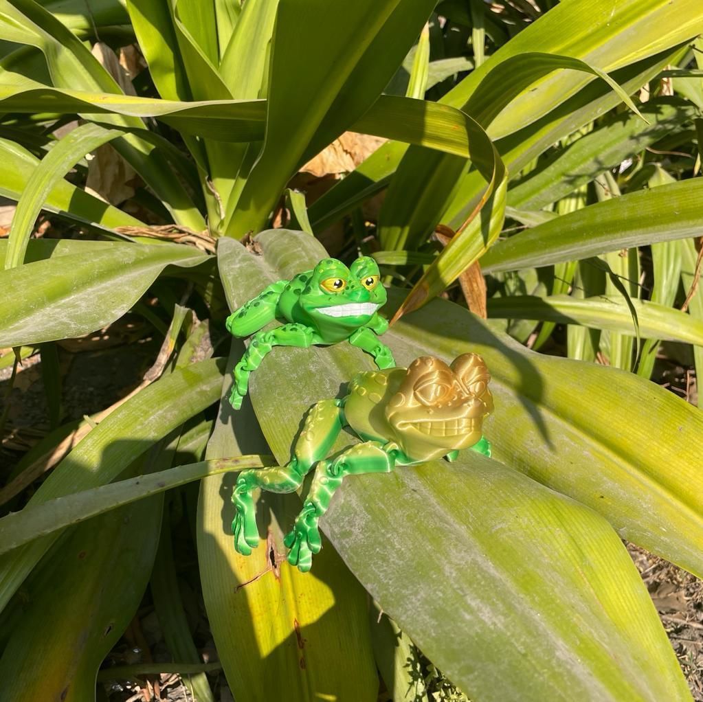 PRINT-IN-PLACE FLEXI TOAD ARTICULATED 3D print model_2