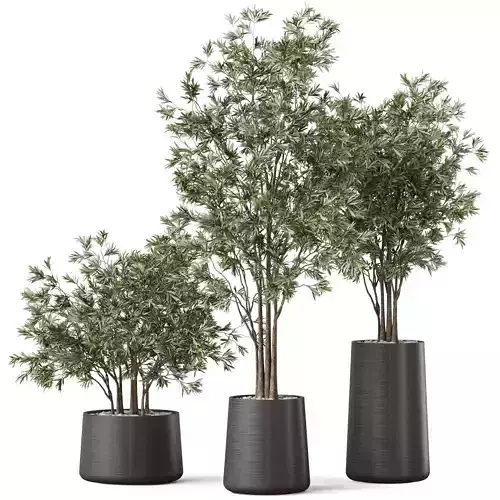 Plants collection 883 3D model