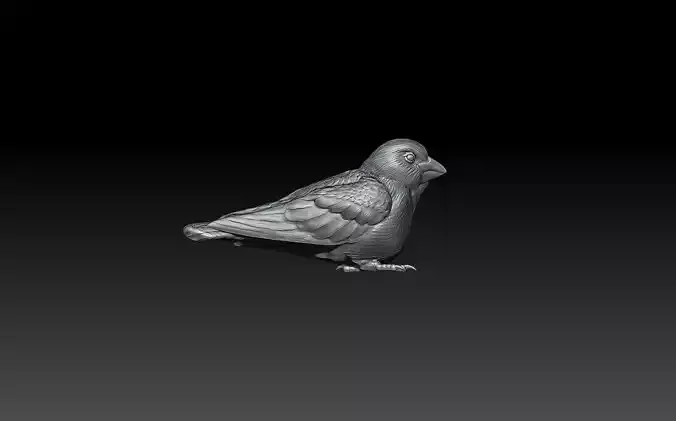 BIRD MODEL