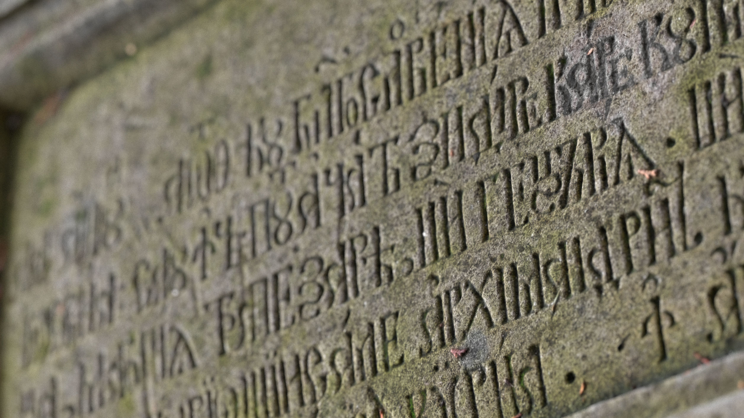 Medieval relief stone carving decoration 3D model_3