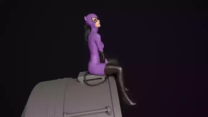 Purple Catwoman sitting  3D print model