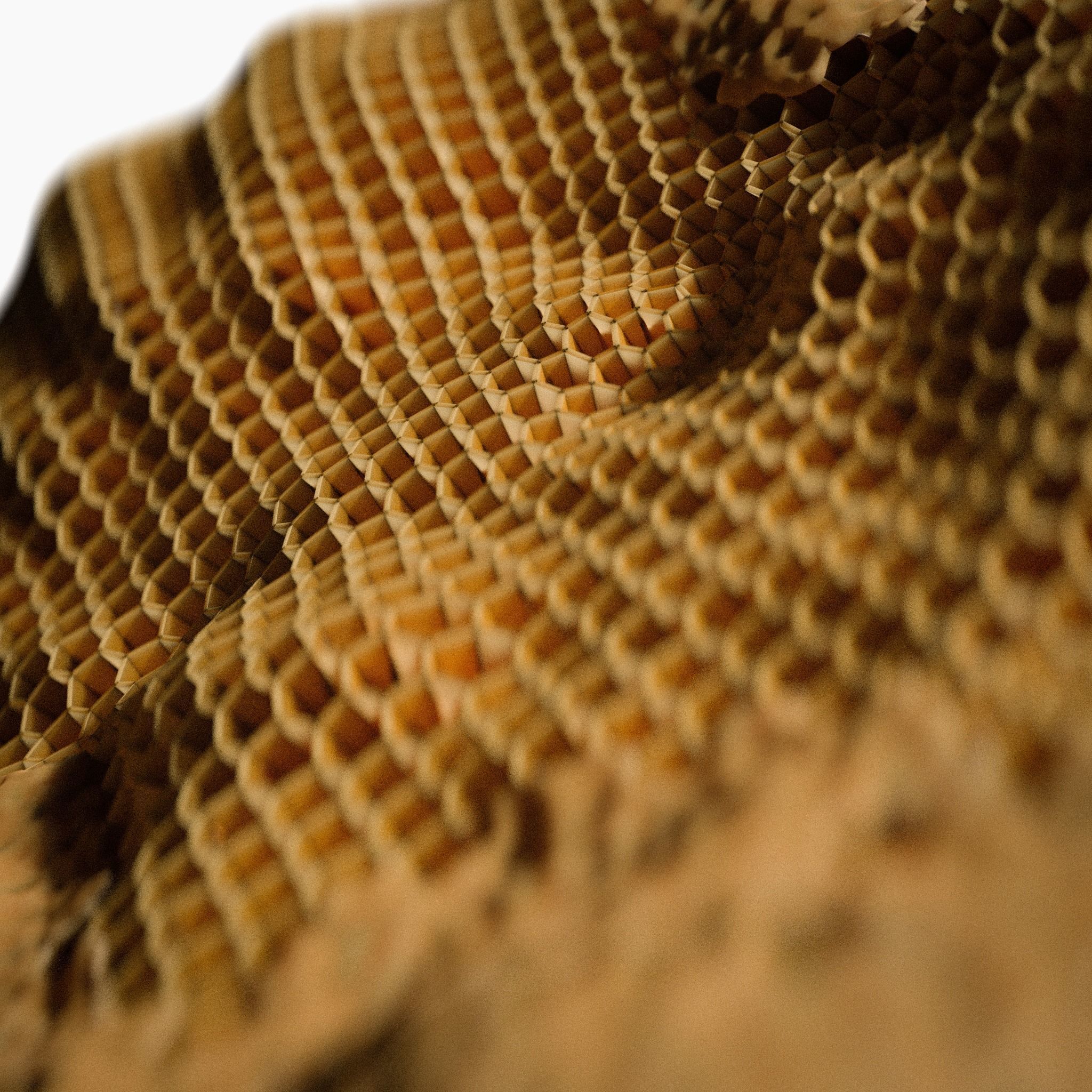 Procedural Beehive 3D model_9